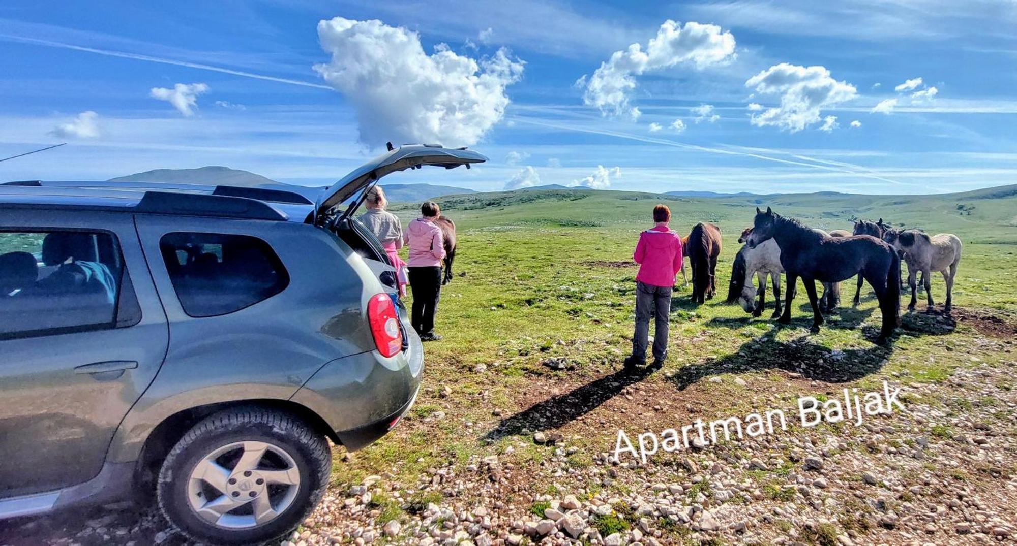 Apartman Baljak ليفنو المظهر الخارجي الصورة