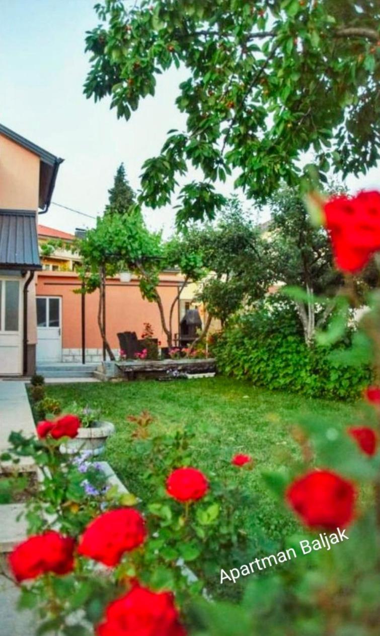 Apartman Baljak ليفنو المظهر الخارجي الصورة